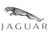Jaguar for woman