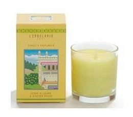 Scented Candle Cedar and Cypress Wood