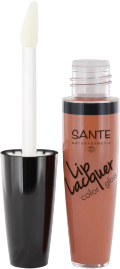 Liquid Gloss Lipstick 01 Nude