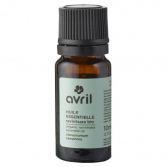 Ravimentaria Essential Oil 10 ml