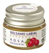 Rosehip Lip Balm Rosehip Lip Balm