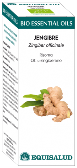 Bio Essential Oil Ginger 10 ml Qt: Alfa-Zingiber Bio Essential Oil Ginger 10 ml Qt: Alfa-Zingiber