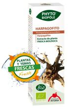 Phytobiopole Harpagofito Phytobiopole Harpagofito