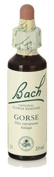 Bach 13 Gorse 20 ml Bach 13 Gorse 20 ml