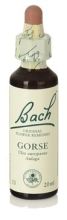Bach 13 Gorse 20 ml Bach 13 Gorse 20 ml