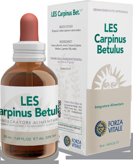 Carpinus Betulus Hornbeam 50 ml Carpinus Betulus Hornbeam 50 ml