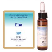 Fm 11 Elm 10 ml