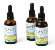 Harpagophyte Extract 50 ml Maese Herbario Harpagophyte Extract 50 ml Maese Herbario